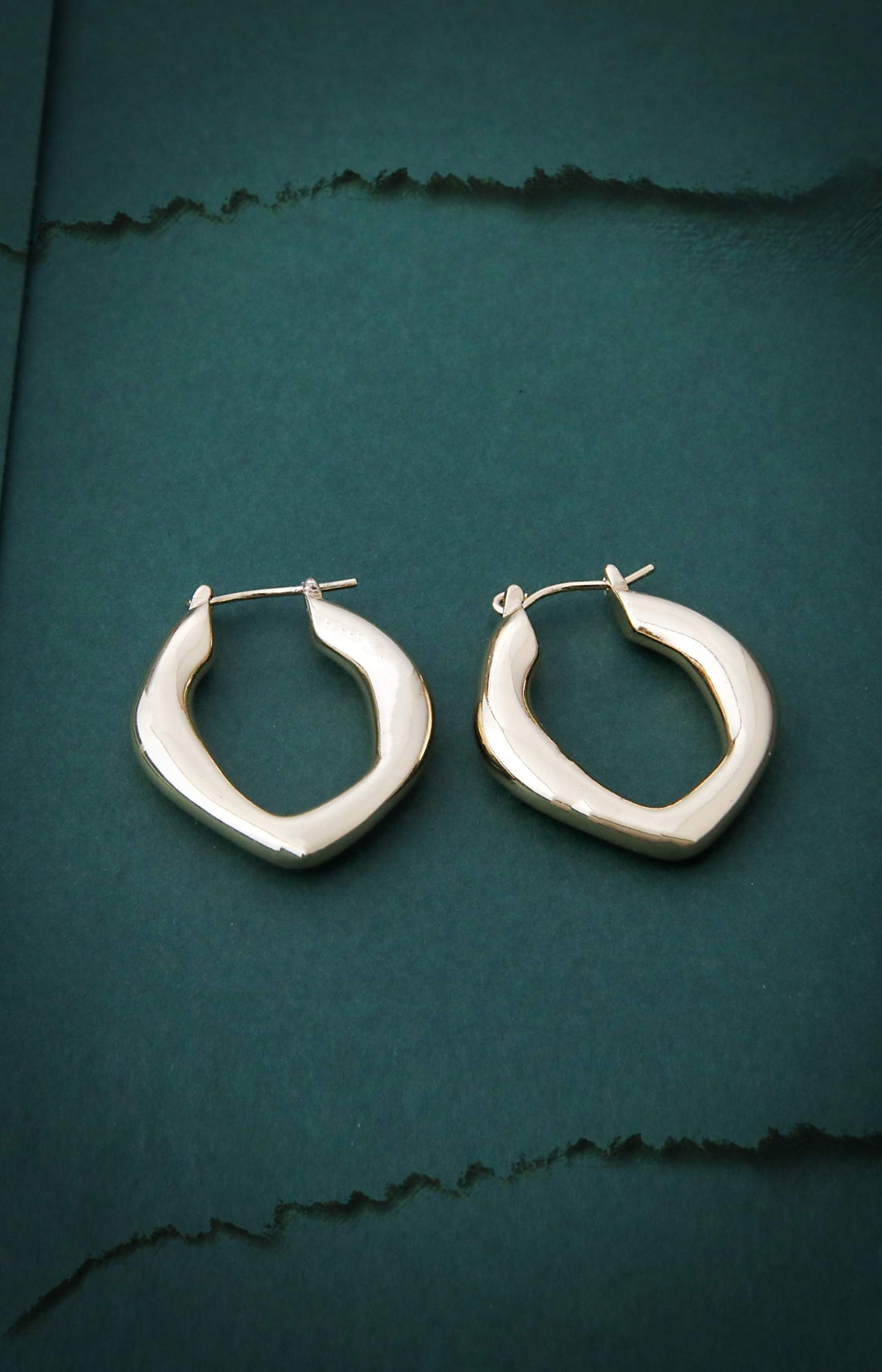 Gold Hoop Earrings